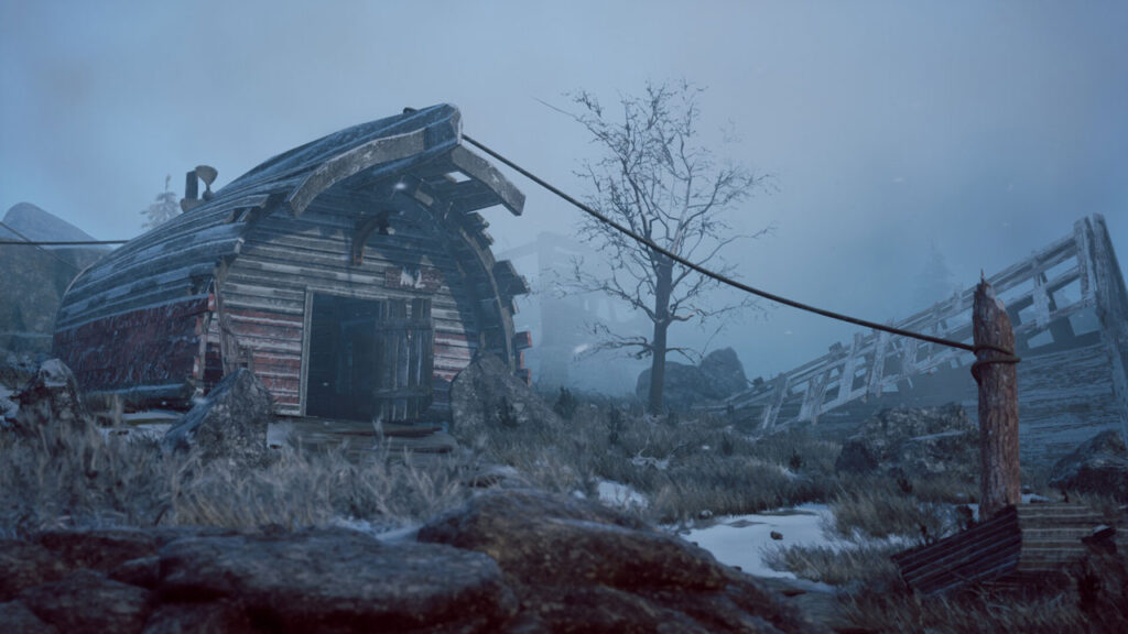 Winter survival release date
