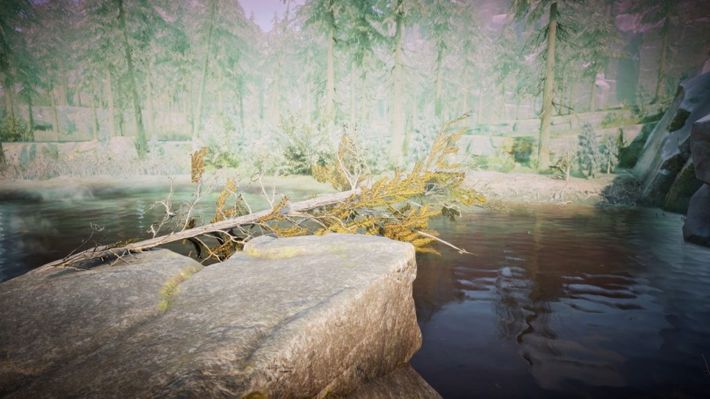 winter survival beaver area