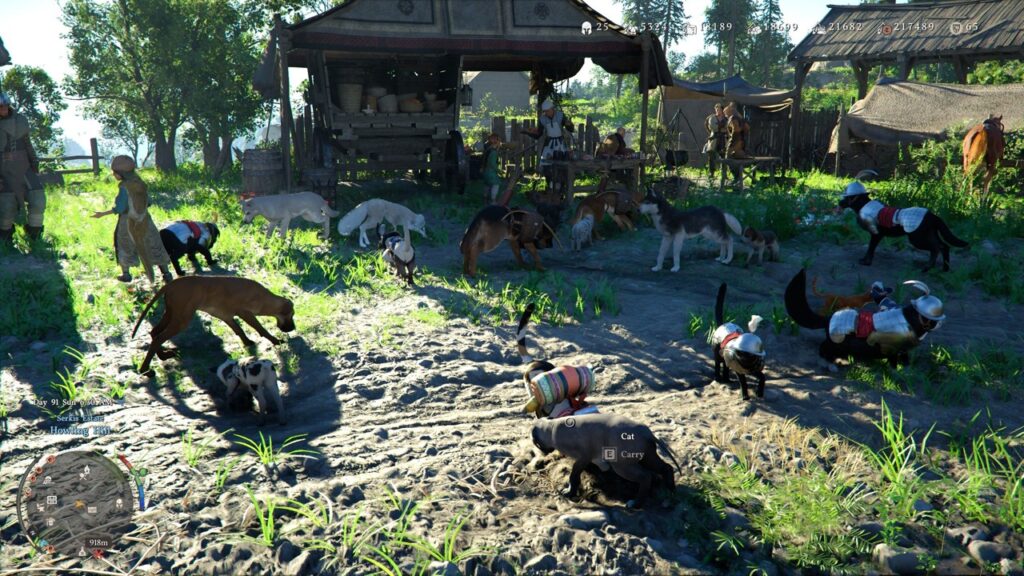 crimson desert pets