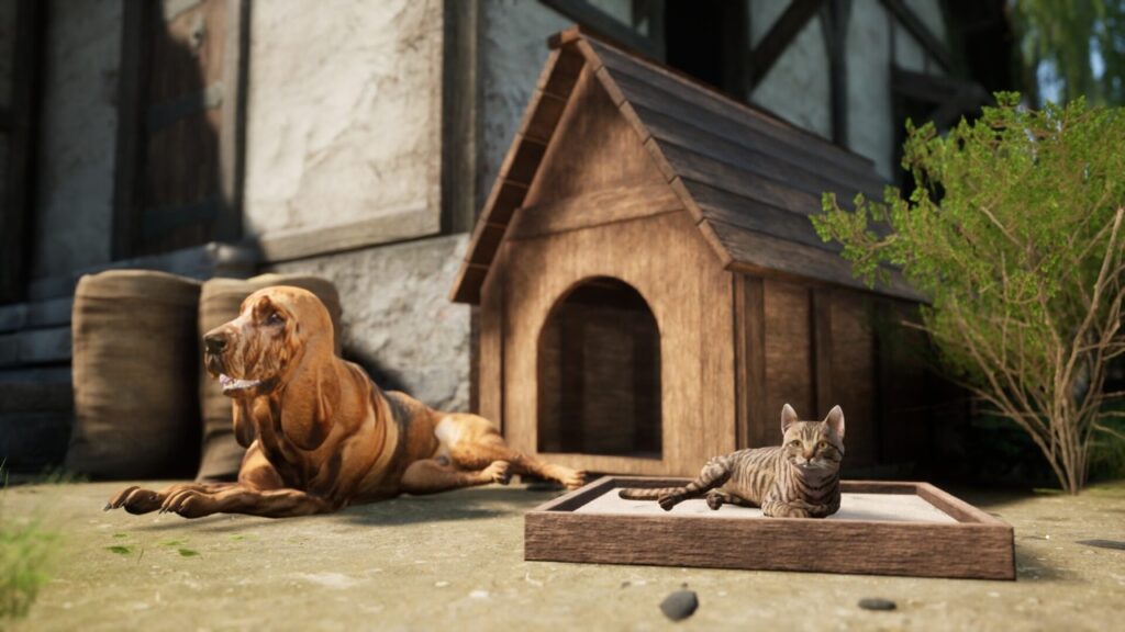 noble legacy pets