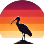 HaaDiiDaa